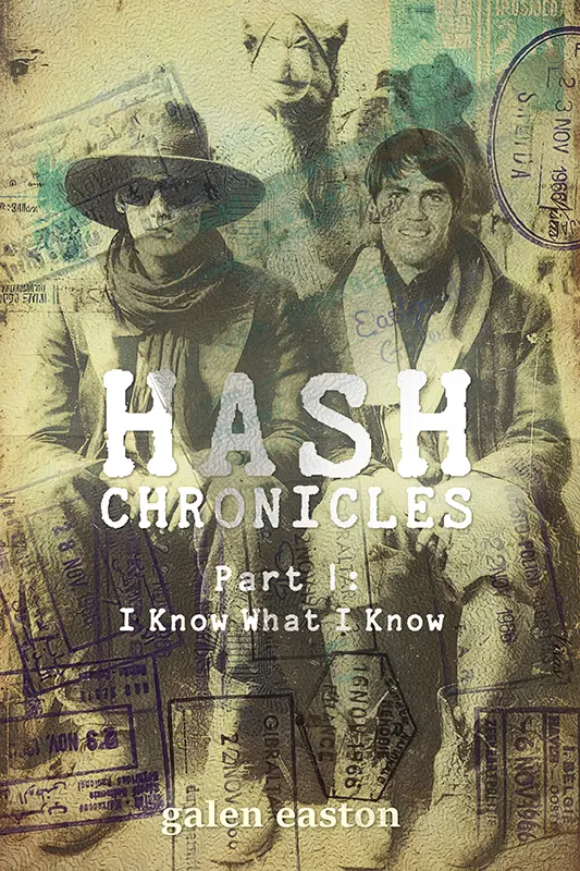 Hash Chronicles — Book Cover